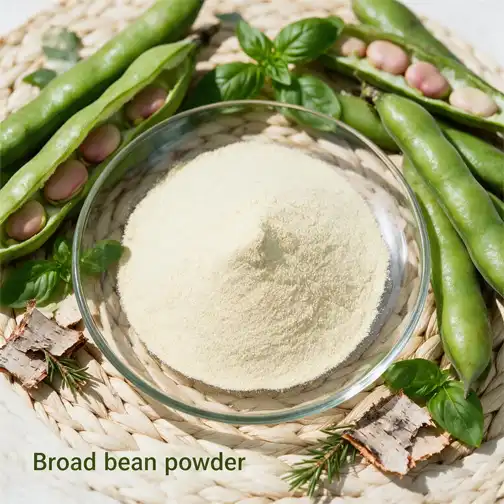 Is Broad Bean Powder a Good Protein Ingredient Choice?